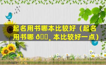 起名用书哪本比较好（起名用书哪 🌸 本比较好一点）